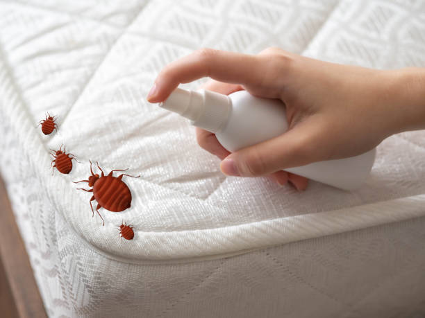 Best Emergency Pest Control  in Macon, MS